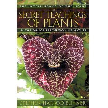 The Secret Teachings of Plants by Stephen Buhner